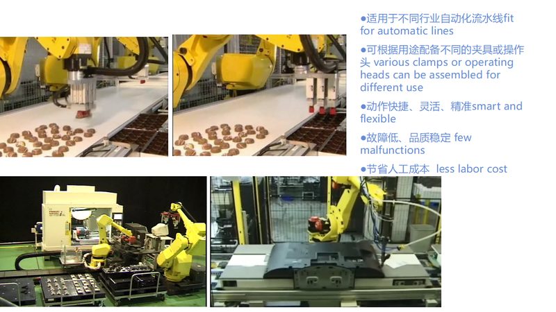 自动化生产线与半自动生产线：本质区别与选择要点